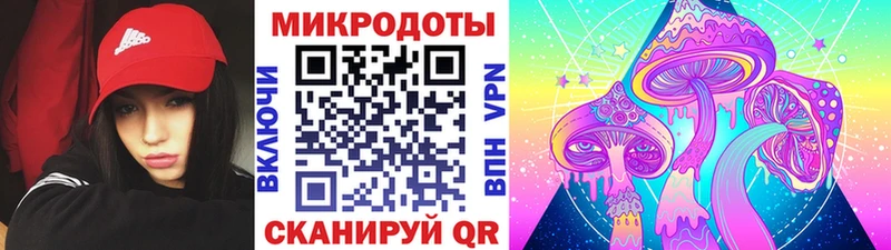 Галлюциногенные грибы Psilocybine cubensis  где купить наркотик  Чайковский 