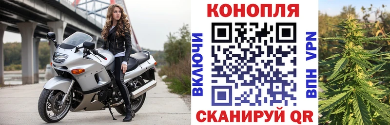 Канабис сатива  Чайковский 